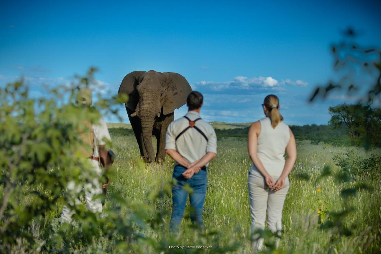 Anderssons At Ongava Villa Окаукуехо Екстериор снимка