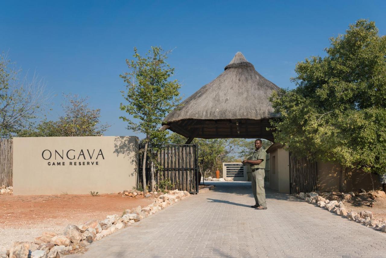 Anderssons At Ongava Villa Окаукуехо Екстериор снимка